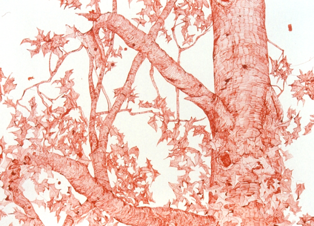 Quill Pen Drawings by Joan Linder
