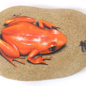 Rock Paintings by Roberto Rizzo