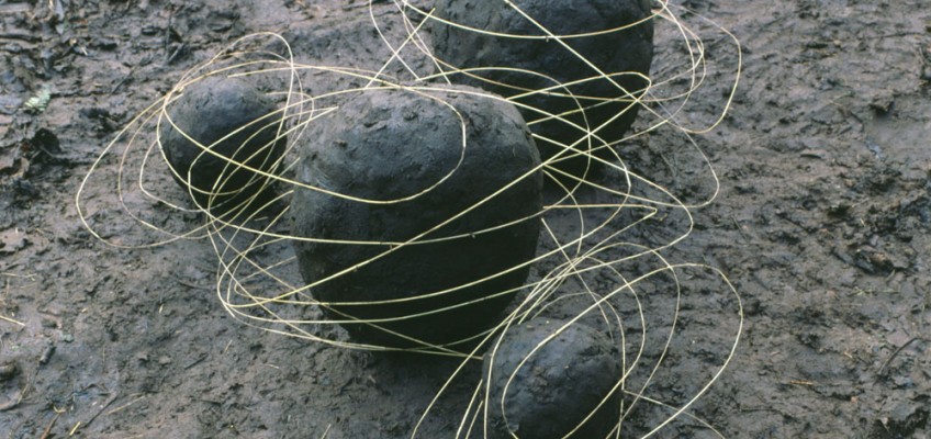 Andy Goldwworthy Grass Stalk Line and Mud Covered Rocks, Cumbria 1984