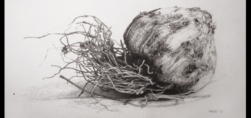 Ui, drawing by Marike Kleynscheldt