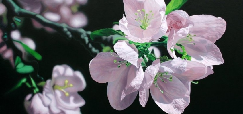 Apple Blossoms, acrylic on canvas, Jason de Graaf