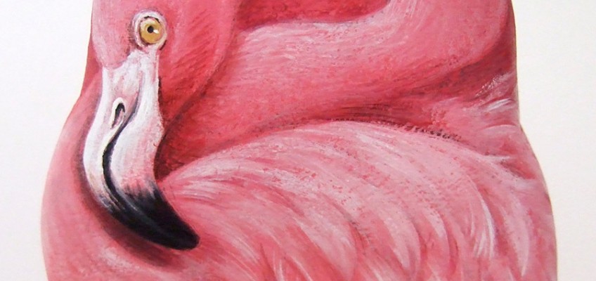 Pink flamingo, paint on stone by Roberto Rizzo